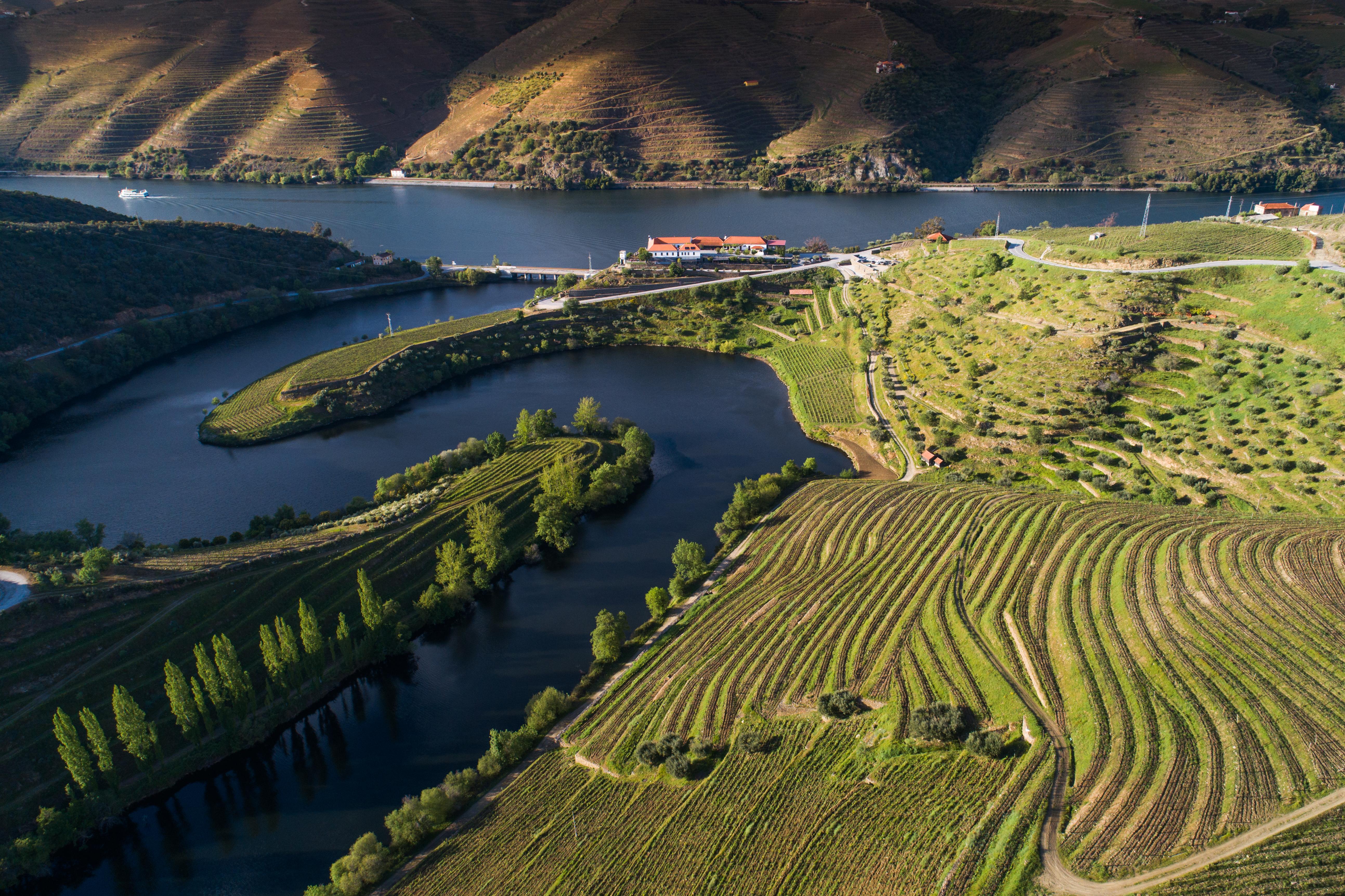 Vila Gale Douro Vineyards Armamar Eksteriør billede